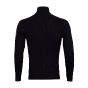 Pull col roulé homme CALFY marine