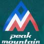 Tee-shirt femme Peak Mountain ACIMES vert