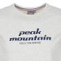 Tee-shirt homme Peak Mountain COSMO gris